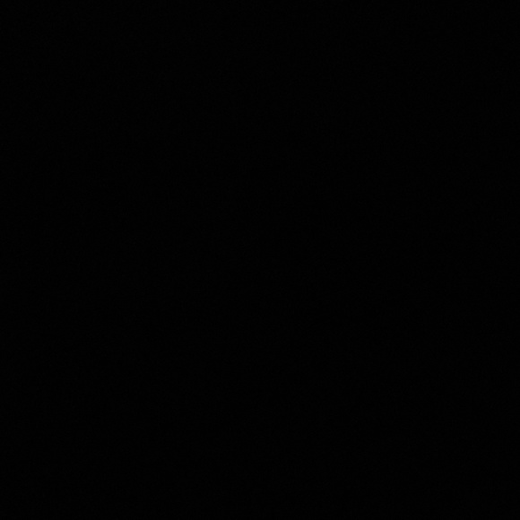 Meet your Posher, Rose - Picture 1 of 1